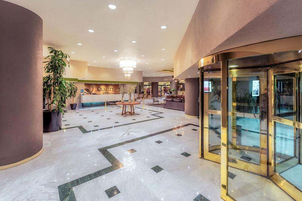 La Joya Pachuca Hotel Ngoại thất bức ảnh Lobby